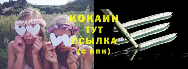 тгк Аркадак