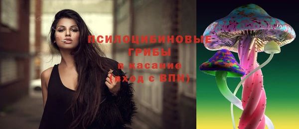 не бодяженный Алексин