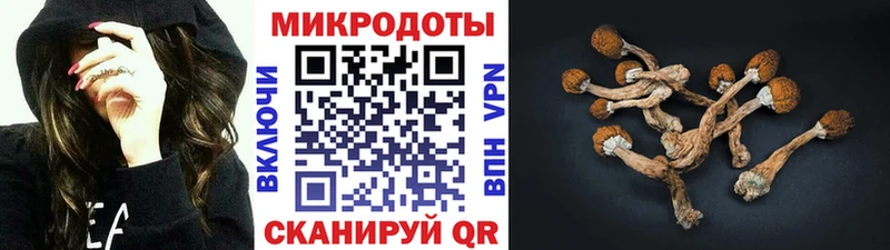 Псилоцибиновые грибы мицелий где купить Верхотурье