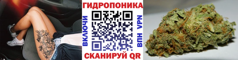 Конопля ГИДРОПОН  Верхотурье 